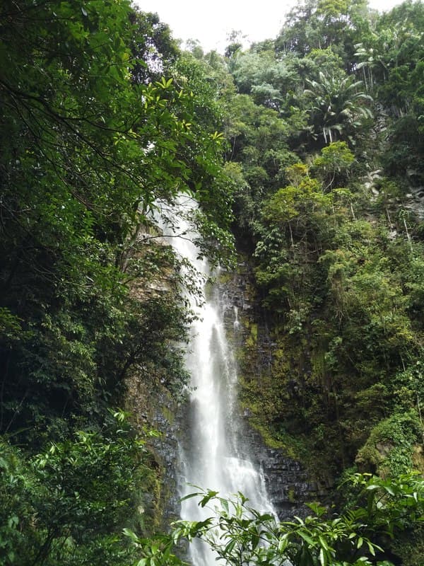 Luxurious Homestay in Sarawak's Jungle